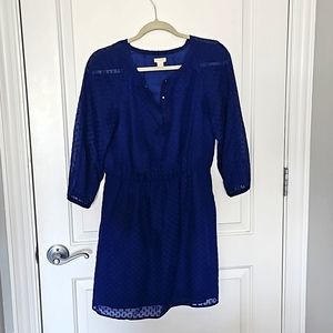 JCrew Cobalt Blue Dot Print dress